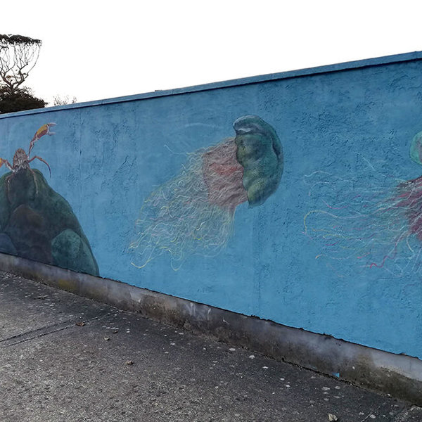 mural_in_greystones_jellyfish_by_aga-grandowicz.jpg
