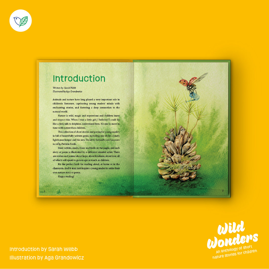 Introduction to 'Wild Wonders' by Sarah Webb and Aga Grandowicz.