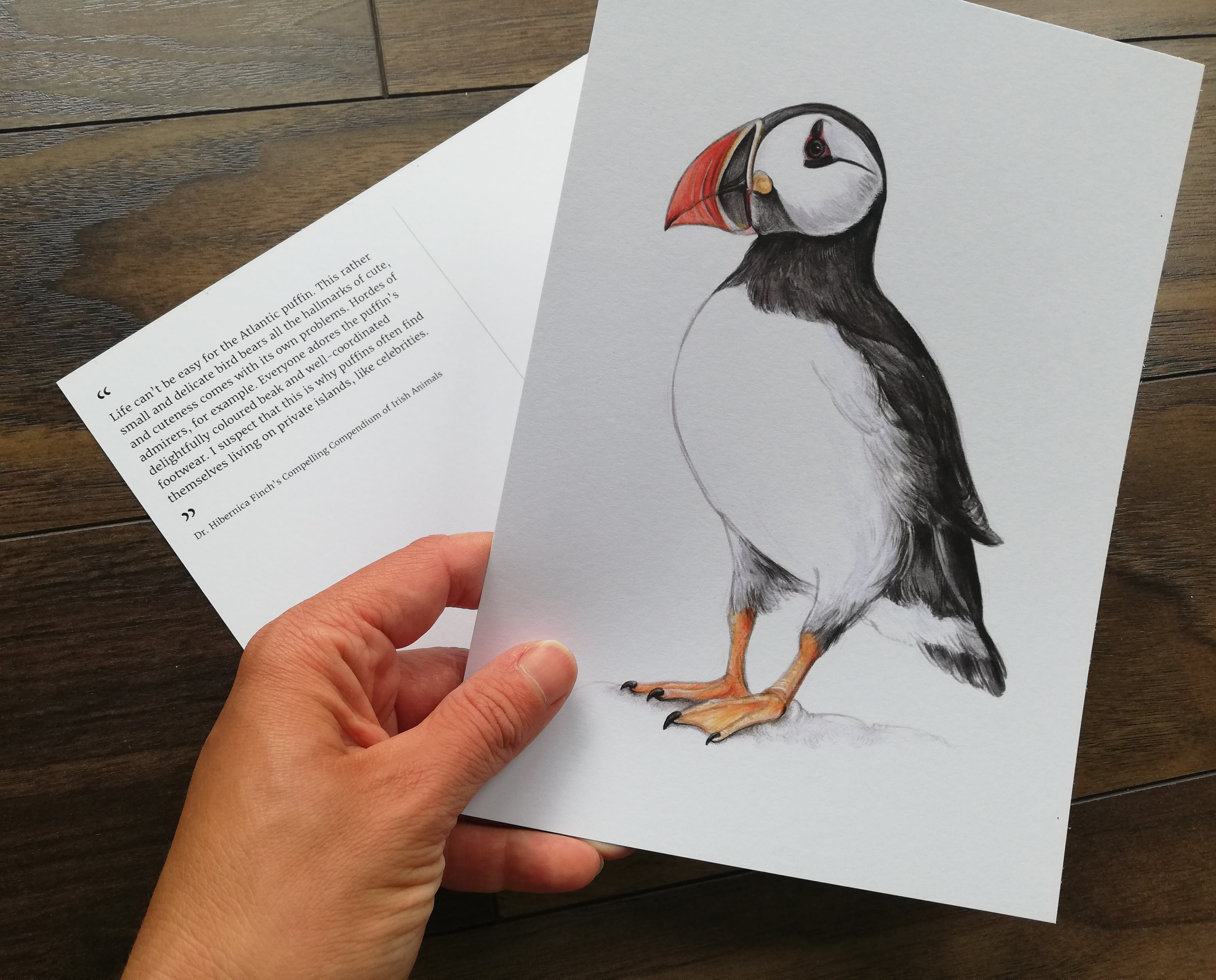 A5 CARD – Atlantic Puffin – Wildlife illustration by Aga Grandowicz