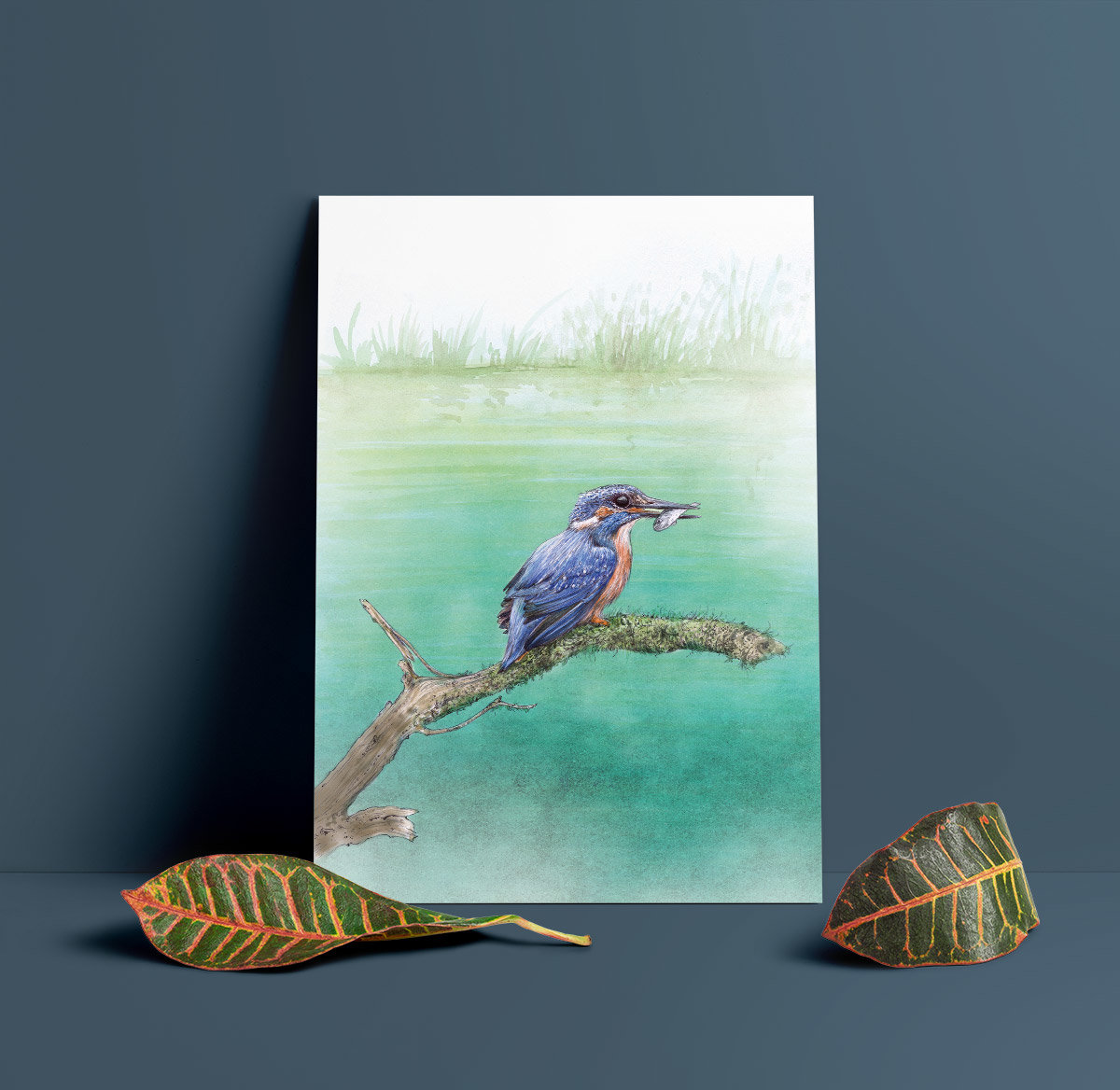 Kingfisher sitting on a branch – wildlife art by Aga Grandowicz.