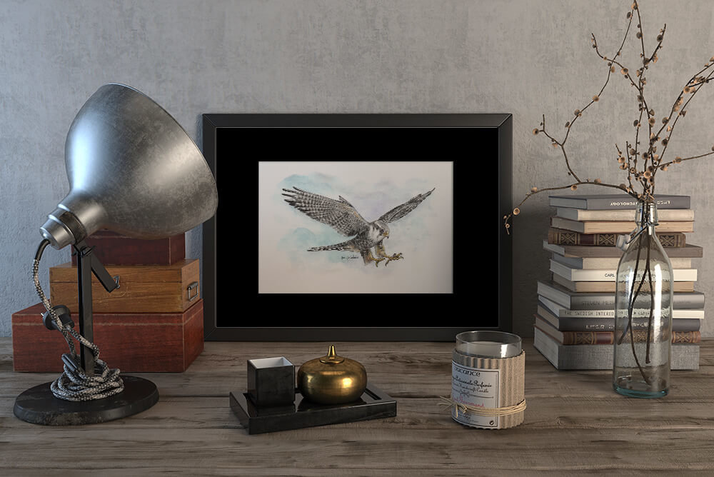 Peregrine falcon #3 – original artwork by Aga Grandowicz