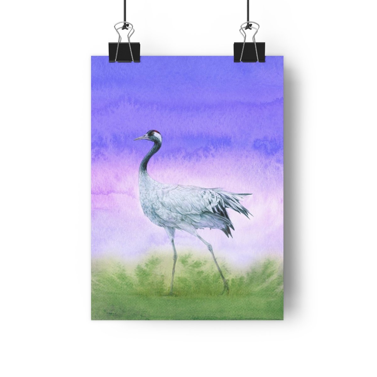 Common crane – Giclée Art Print