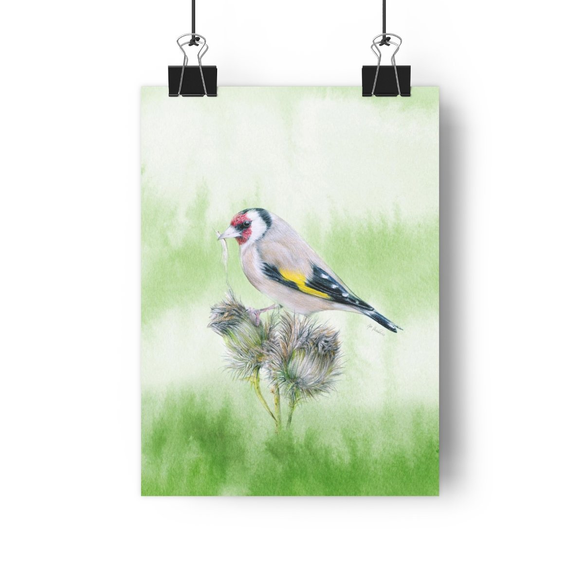 European goldfinch – Giclée Art Print