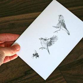 CARD – Wildlife illustration featuring two birds and a bumblebee.