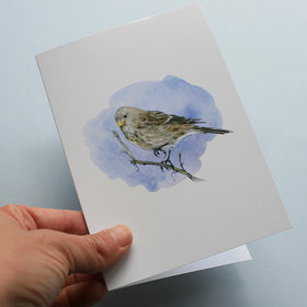 Greeting card, A5 folded to A6, with wildlife illustration of a twite bird.