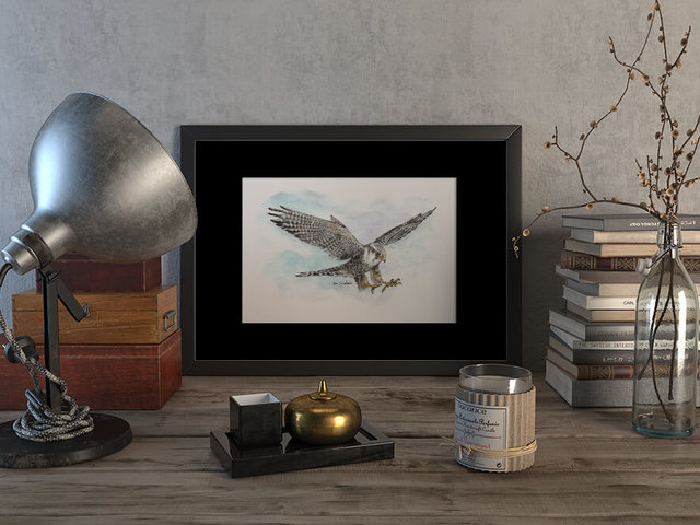 Peregrine falcon #3 – original artwork by Aga Grandowicz
